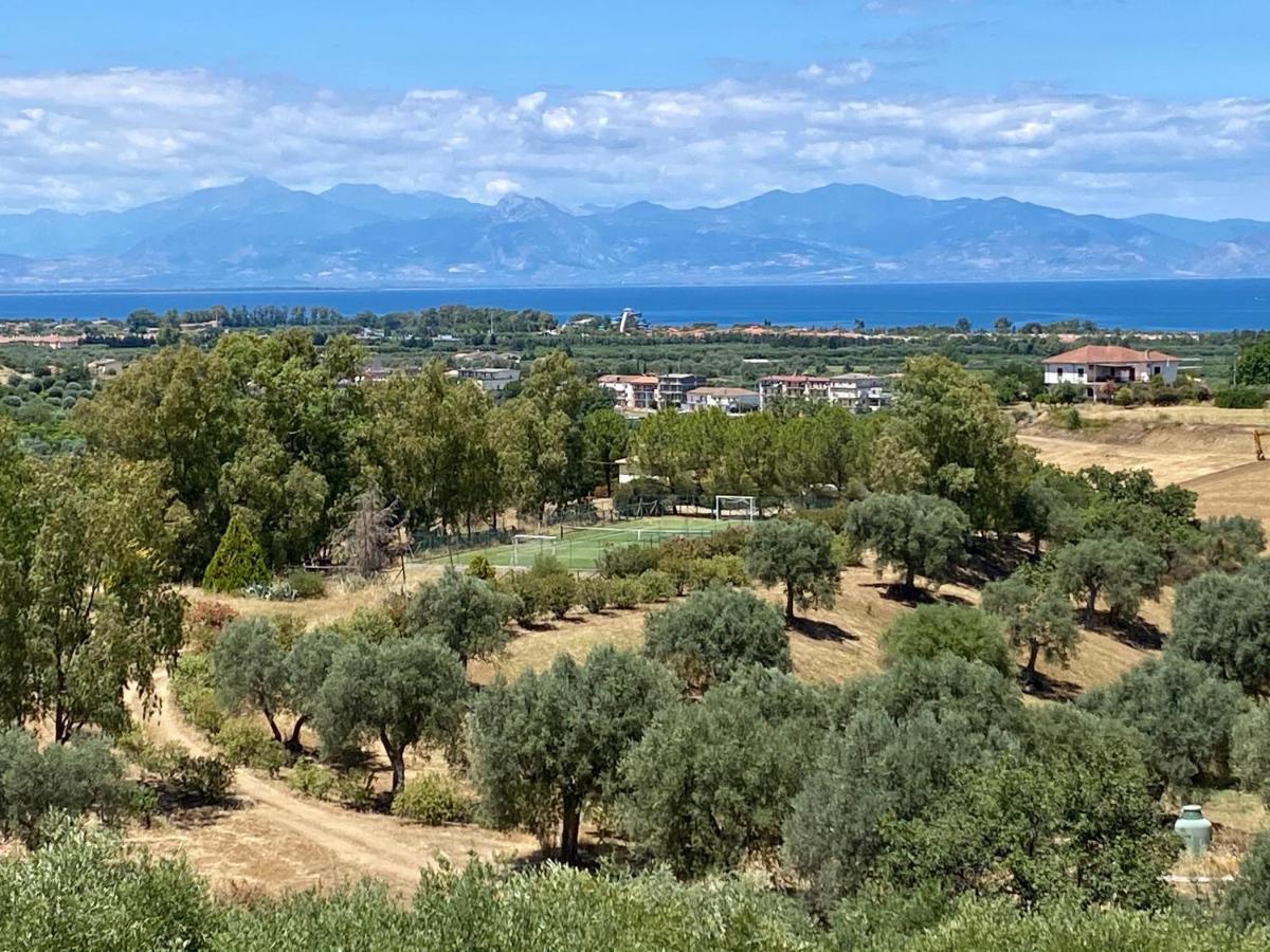 Le Colline Del Gelso-Masseria Mazzei Pensionat Rossano Exteriör bild