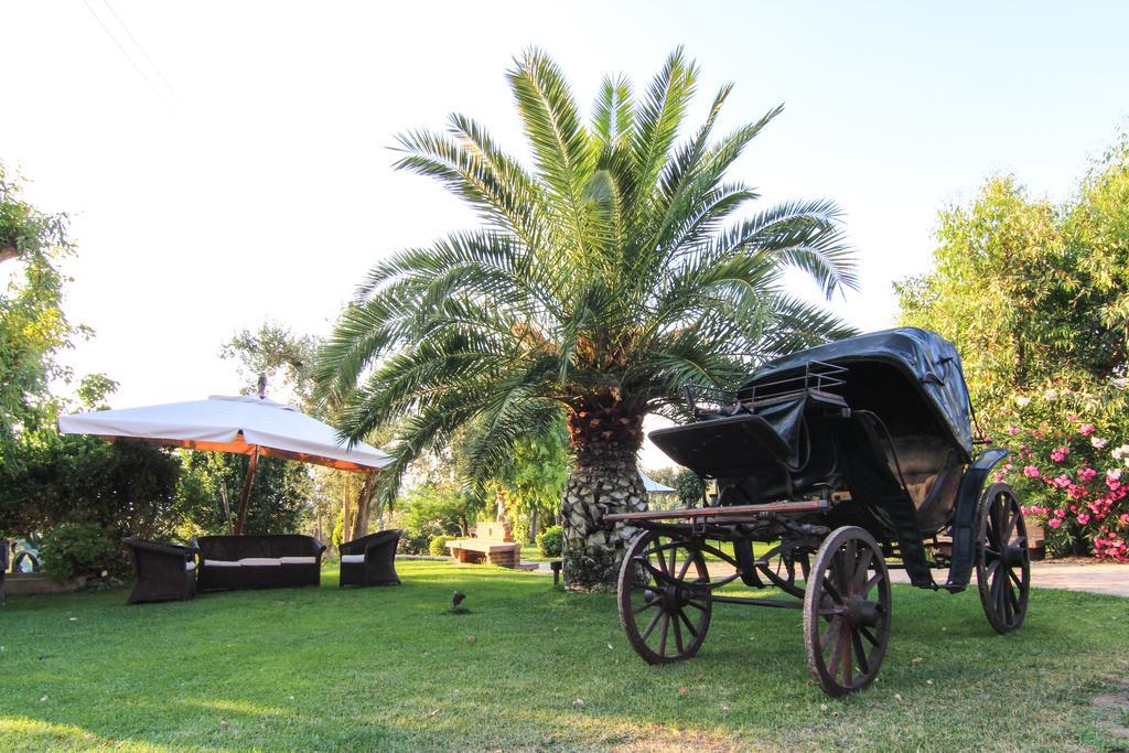 Le Colline Del Gelso-Masseria Mazzei Pensionat Rossano Exteriör bild